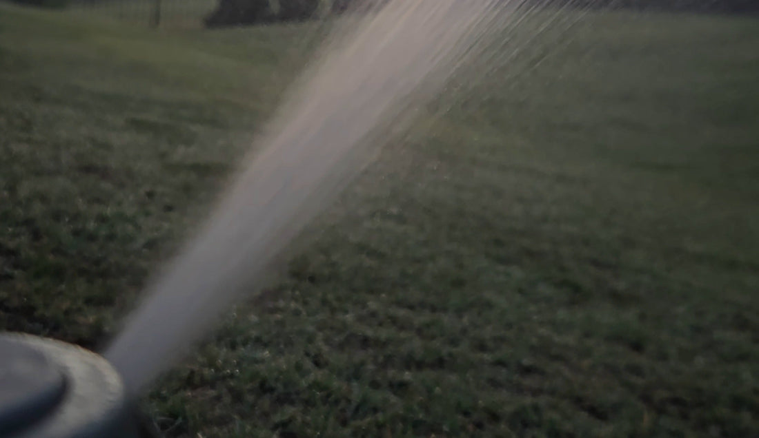 How Often Should You Water Bermuda Grass?