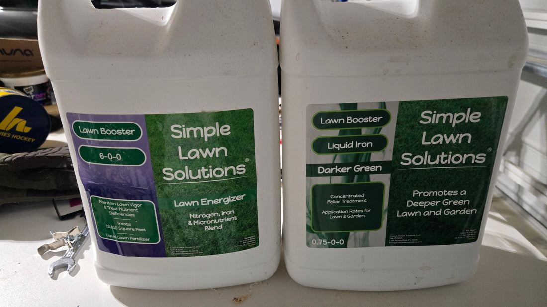 What Is the Best Fertilizer for Bermuda Grass?