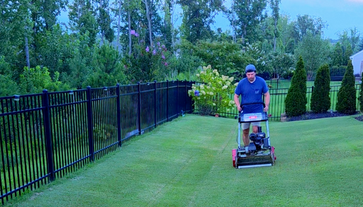 The "Please Don't Let the Lawn Fall Apart in September