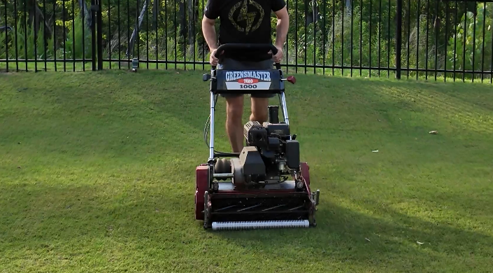 How Often Should I Mow Bermuda Grass?