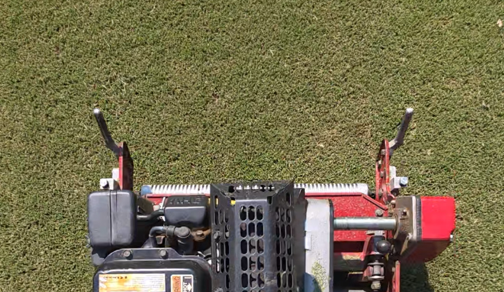How Short Should I Mow Bermuda Grass?